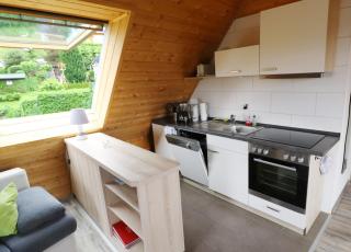Ferienwohnung Seeblick Nr 5, 2 Zi-Bärental, Feldberg - Rotwasser - 5