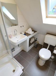 Ferienwohnung Seeblick Nr 5, 2 Zi-Bärental, Feldberg - 1