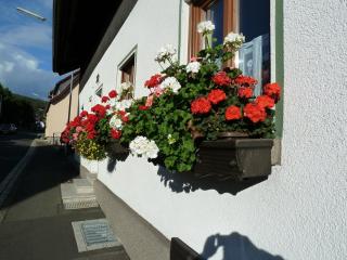 Lina's Rhön - Bad Brückenau - 9