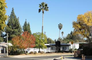 Encino Oasis - Encino - 1