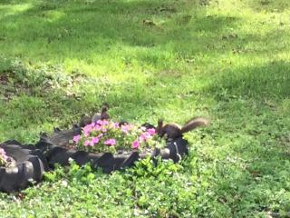 ゲストハウスゆうゆう - 4