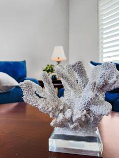 Isaiah 2 Gilbert - Queen Creek - 5