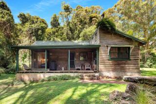 The Fernery at Red Dog Retreat - Beaumont - 9