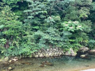 シーラニ白浜荘 - Kannoura - 3