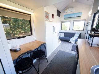 Baxter at Lake George Winery at Tiny Away - 3