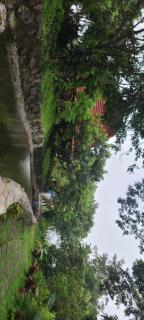 Paraiso de June Quxote Ecofarm Resort - Naic - 5