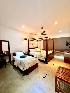 Coza Ceylon - Mount Lavinia - 8