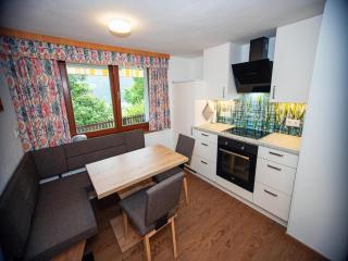 Apartment in Stuhlfelden near Ski Lift - Stuhlfelden - 1