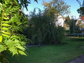 Apartment 003 am Hirtenweg - Cassel - 7