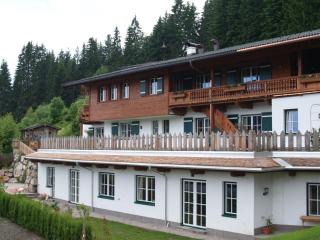 Exclusive apartment with panoramic views - Reith bei Kitzbühel - 4