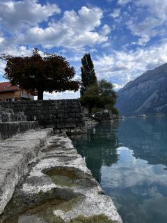2,5 Zimmer, Art residence - Brienz - 3