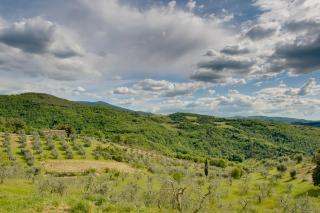 Agriturismo Bindozzino - Castiglione dʼOrcia - 7