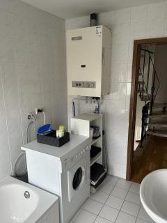 Kiebitznest - 3