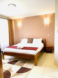 Emilia One Bedroom Apt in Kileleshwa - Nairobi - 6