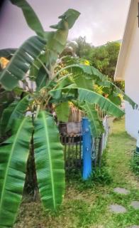 Logement comprenant une chambre,une salle de bain, wc indépendant et une cuisine exterieure dans belle villa avec piscine vue ocean - 4