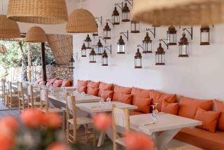 La Mouette et les Dromadaires - 1