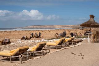 La Mouette et les Dromadaires - 6