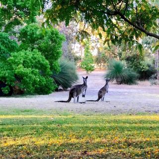 White Tree Retreat Yallingup hills - 5