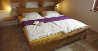 Eifelurlaub Luchs Wohnung mit Terrasse - Schleiden - 6