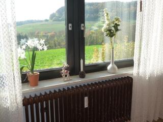 Blumenwiese - Weilheim - 5