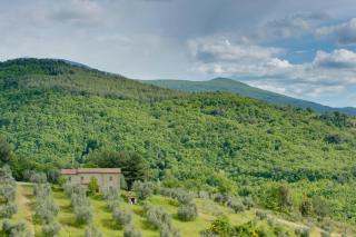 Agriturismo Bindozzino - Castiglione dʼOrcia - 9