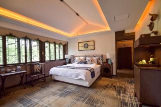 Luxurious themed hotel - 3