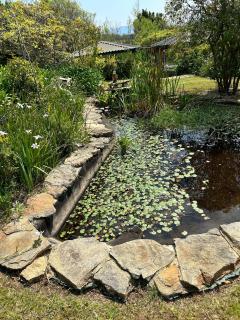 A Cottage at James Family Farm - Grabouw - 7