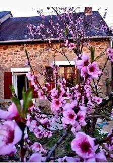 Nature et Balnéo en Bourgogne - Dun-sur-Grandry - 9