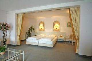 Arvena Reichsstadt Hotel - Bad Windsheim - 2