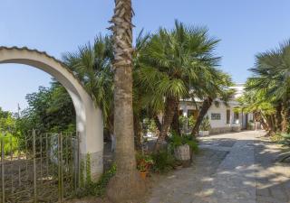 Villa Indipendente Panoramica, terrazze e giardino - Massa Lubrense - 9