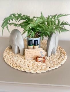 Cinsaut Accommodation - Malmesbury - 3