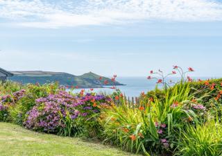 Bel-Nor-Cot - Cawsand - 5
