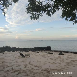 Luz de Maria cabanas rústicas ilha de cotijuba - 1