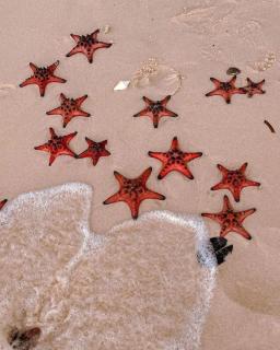 Chài Symphony Beach House Viet Nam - 1