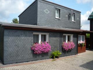 Holiday Home in Neustadt am Rennsteig with Pond - Neustadt am Rennsteig - 9