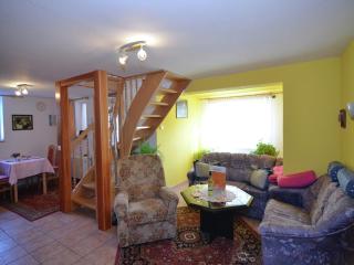 Holiday Home in Neustadt am Rennsteig with Pond - Neustadt am Rennsteig - 8