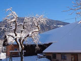 Ferienwohnungen Themessl - 2