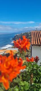 Tropical Leaves Tenerife - Los Realejos - 9