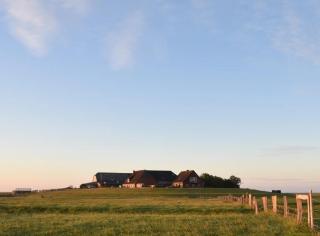 Fewo Nordseeblick - Langeneß - 2