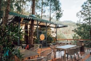 Kasauli Hills Resort - 5