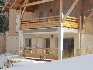 Très bel appartement 3 pièces 65m2 Villard de Lans avec balcon et jardin - Villard-de-Lans - 4