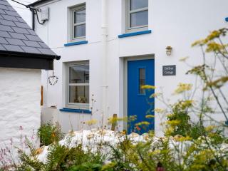Dyffryn Cottage - 9