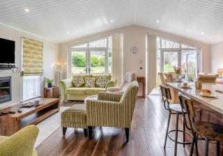The Beech House Lodge - New Quay - Llanina - 3