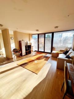 Cozy open space home near Old city center of Timisoara with private parking space - Timişoara - 5