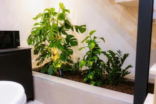 Sauna - Massage - Double Shower - Luxe in Romans - Romans-sur-Isère - 3