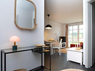 Residenz am Balmer See - BS 41 mit Wellnessbereich - Balm - 1