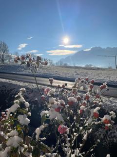 Schmied in Oberdrum - Oberlienz - 5
