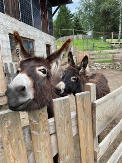 Schmied in Oberdrum - 4