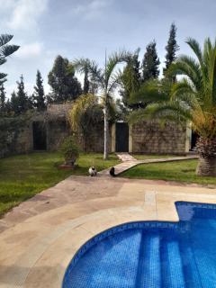 Riad TANJIL - Casablanca - 9