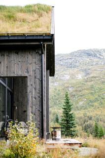Dream Cabin With Danish Design And Views - Tjørhom - 0